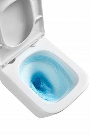 Подвесной унитаз безободковый Terminus Ватикан Monolit 490х340 белый Миасс - фото 8