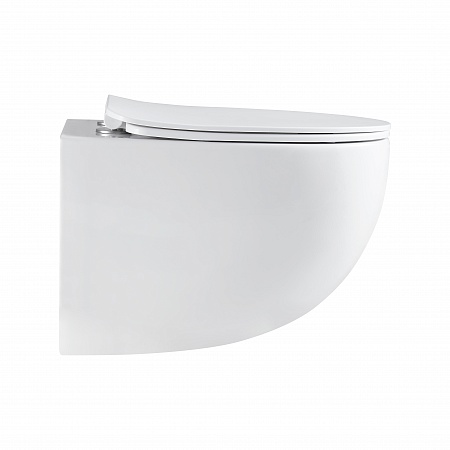 Подвесной унитаз безободковый Terminus Енисей Monolit 560х390 белый Миасс - фото 4