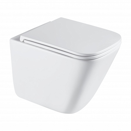 Подвесной унитаз безободковый Terminus Ватикан Monolit 490х340 белый Миасс - фото 2