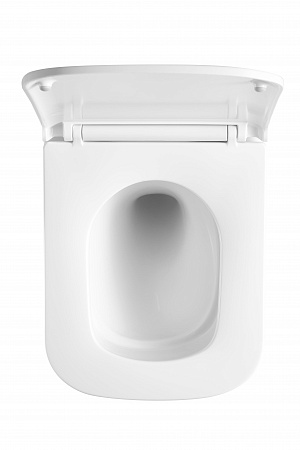 Подвесной унитаз безободковый Terminus Ватикан Monolit 490х340 белый Миасс - фото 3